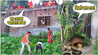 ঝোপ থেকে বেরিয়ে এলো প্রকাণ্ড এক অজগর! Huge Anaconda came out of a Bush #python #snakevideo
