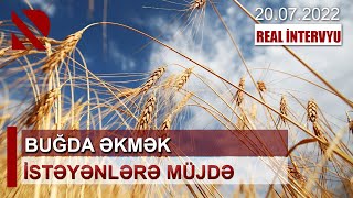 Buğda əkmək istəyənlərə müjdə - REAL İNTERVYU