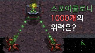 스포어콜로니 1000개의 위력은? - 스타크래프트 리마스터