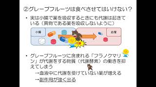 食事と薬の食べ合わせ・飲み合わせ