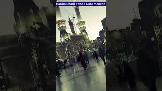 Ham marde mujahid hai #trending #kaba #islamicsong #viral #makkah #shortsfeed #new