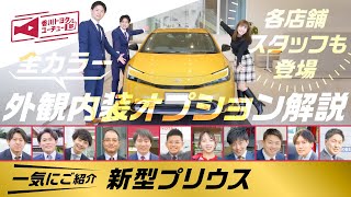 【新型プリウス】外観・内装・オプションについて徹底解説！さらに香川トヨタ計10店舗のスタッフも登場して解説！