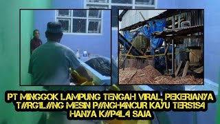 Pekerja pabrik kayu triplek di Lampung Tengah Viral || Pembahasan