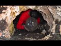 Opened cave and take out a treasure urn full of gold coins by phoenix metal detector 3D