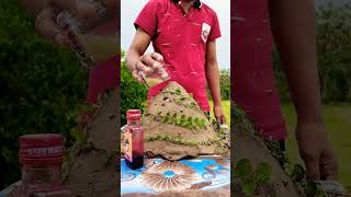 Volcano Project viral powerful Dhamaka Reaction #youtubeshorts #shortvideo #viral #experiment