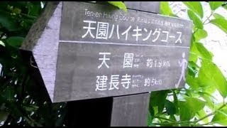 【HD 鎌倉】天園ハイキングコース ～明月院口から瑞泉寺口まで5km～