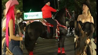 Surprising Cabalgata in Puntarenas Horse with Lighting Bandage and Pink Horseback Rider