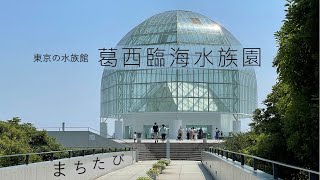 【東京 葛西臨海水族園】谷口吉生設計の世界のどこにもない水族館