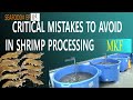 Critical mistakes to be avoided during Seafood processing - Seafood EP#05