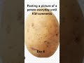 #jjolatunji #potato #ilovepotatos