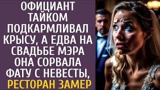 Официант тайком подкармливал крысу… А едва на свадьбе мэра она сорвала фату невесты, ресторан замер