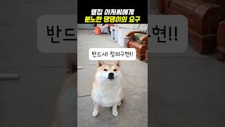 옆집 아저씨에게 분노한 댕댕이의 요구