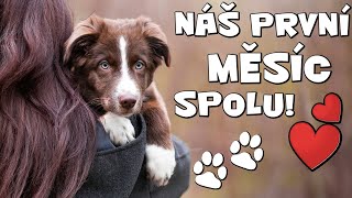 PRVNÍ MĚSÍC SE ŠTĚŇÁTKEM ❤️| Povídání, zkušenosti, zážitky | Jaký je Theo?