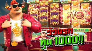 สล็อตPG - เกม Fortune Ox วัวนรก ทุน1000 โดดเถอะ!!!