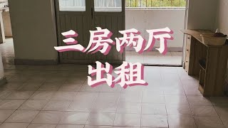 深圳罗湖区莲塘，三房两厅出租，价格便宜，中间楼层