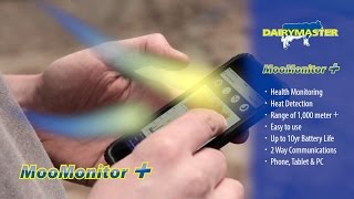 'Cows texting dairy farmer...'     MooMontor+ health \u0026 fertility monitor