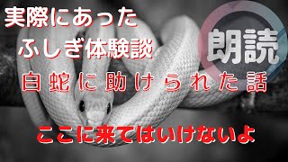 【朗読】白蛇に助けられた話（実際にあった不思議な話）