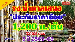 ข่าวดี!โรงงานน้ำตาลแย้มระบบประกันราคาอ้อยปี2565-2568นาน3ปีอัดฉีดชาวไร่อ้อยปลูกอ้อยสะอาดลดอ้อยไฟ