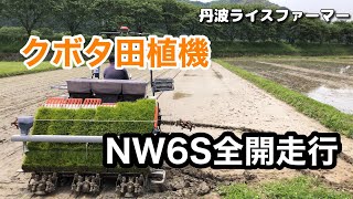 クボタ　NW6S 全快で田植え‼️