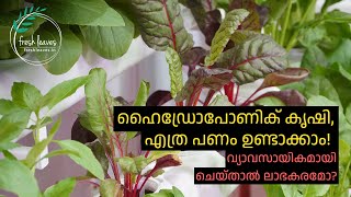 Is Commercial Hydroponics Profitable in India -  The economics of hydroponic farming