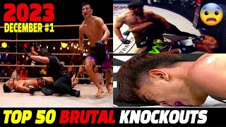 Muay Thai & MMA, Boxing 50 KNOCKOUTS | December 2023 Part.1