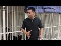 haryana ~ best dog kennel setup tour dog kennel setup tour working dog club haryana india