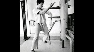 Wing Chun and Jeet Kune Do Wooden Dummy Freestyle