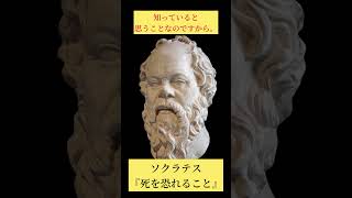 【ソクラテス】無知な奴ほど死を恐れる。【無知の知】