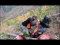 montana moose hunt calling moose