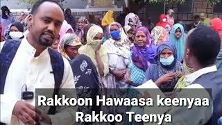 Rakkoon Hawaasa Keenyaa Rakkoo Teenya!