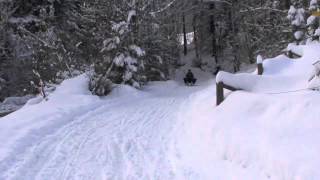 Rodeln in Strobl am Wolfgangsee