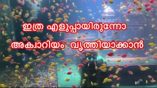 ഇനി 15 മിനിറ്റ് മതി അക്വാറിയം വൃത്തിയാക്കാൻ😎👍/ #Aquarium cleaning