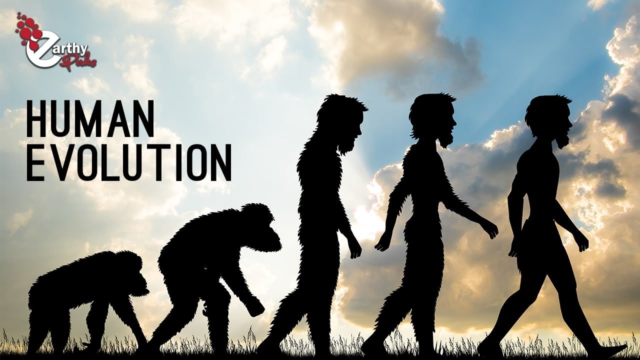 Human Evolution: Still Happening Or Not! Earthy Perks - YouTube