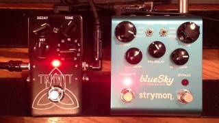 Strymon Blue Sky Reverberator vs TC Electronic Trinity