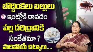 బొద్దింకలు బల్లులు పారిపోయే చిట్కాలు - Rama Devi | How to Get Rid of Cockroaches Lizards | SumanTV