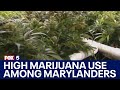 New study finds high marijuana use among Maryland consumers | FOX 5 DC