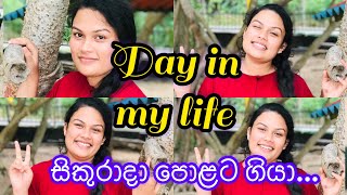 අද හවස් වරුව මම ගෙවපු විදිය|day in my life|සාමාන්‍ය පවුලක මම ගෙවන ජීවිතය |simple life