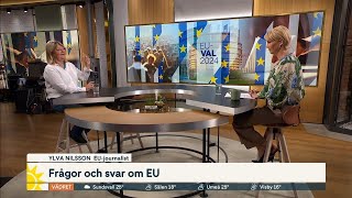 Kommer EU förbjuda snus? | Nyhetsmorgon | TV4 & TV4 Play