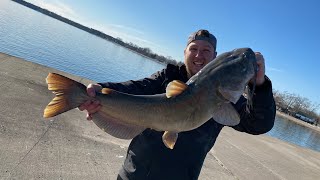 April fishing on the grand river! how we catch and prepare our catfish bait