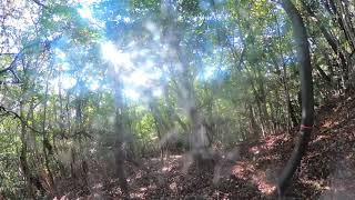 里山歩き 白岳山 標高 150m gopromax 2022-11-03   gg-5