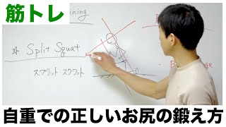 スプリットスクワット・ランジ【正しい自重トレーニングのやり方解説】