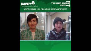 The Problems with Codominant Stems & Preventative Steps