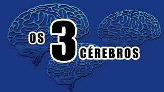 Os TRÊS CÉREBROS - Cérebro Repteliano, Sistema Límbico, Neocortex - Instinto/Emoção/Razão