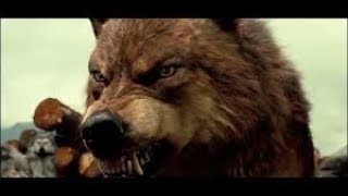 Twilight (Wolves) - Teeth (8 graves)