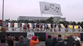 踊るん♪よさこい２０１３－わいわい連