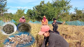 เกีวยเข้ามื้สุดถ้าย//ກ່ງວເຂົ້າມື້ສຸດຖ້າຍ