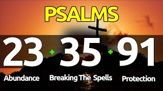 Psalms 23-35-91: THE ESSENTIAL PSALMS FOR ABUNDANCE, BREAKING SPELLS, AND PROTECTION.