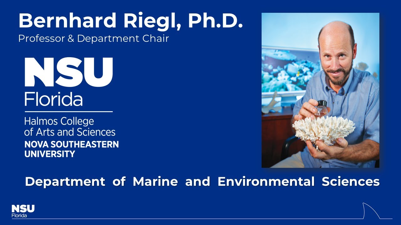 Nsu S Department Of Marine And Environmental Sciences Youtube