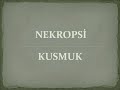 nekropsi kusmuk 1998