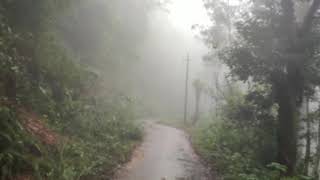 Basarikatte to neralakatte road trip in rainy time..